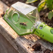 Bug Catcher Explorer
