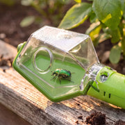 Bug Catcher Explorer