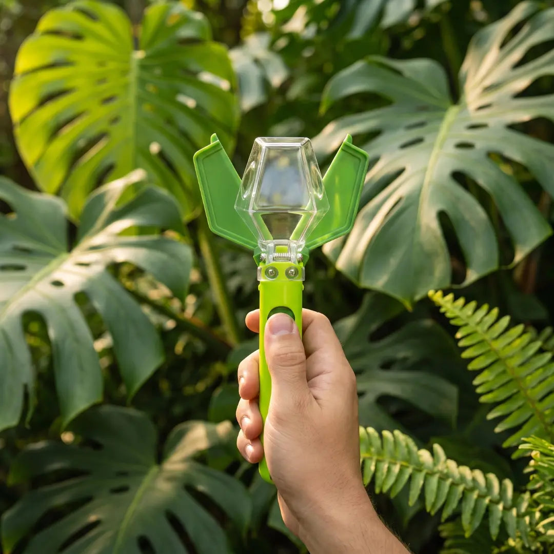Bug Catcher Explorer